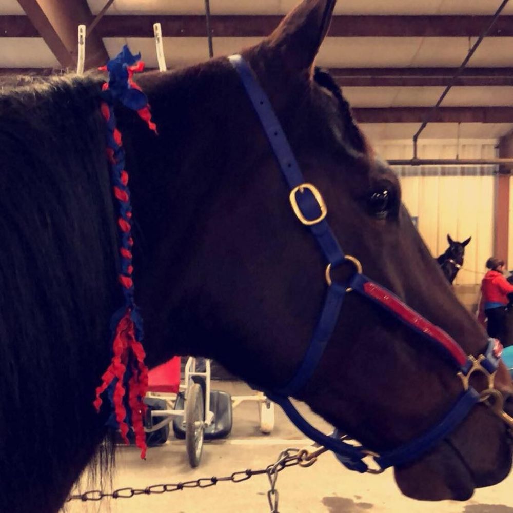 Meet your Posher, Nicole